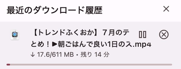 Downloadertoで変換後の保存リンクを確認する画面