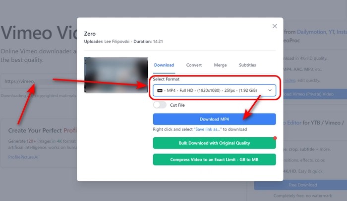 SaveTheVideo.com Vimeo 線上下載網址輸入介面