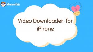 Top 10 Best Video Downloaders for iPhone Reviews & Comparison in 2025