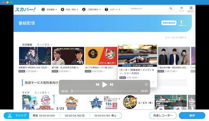 Vidmore スクリーンレコーダーの録画範囲設定画面