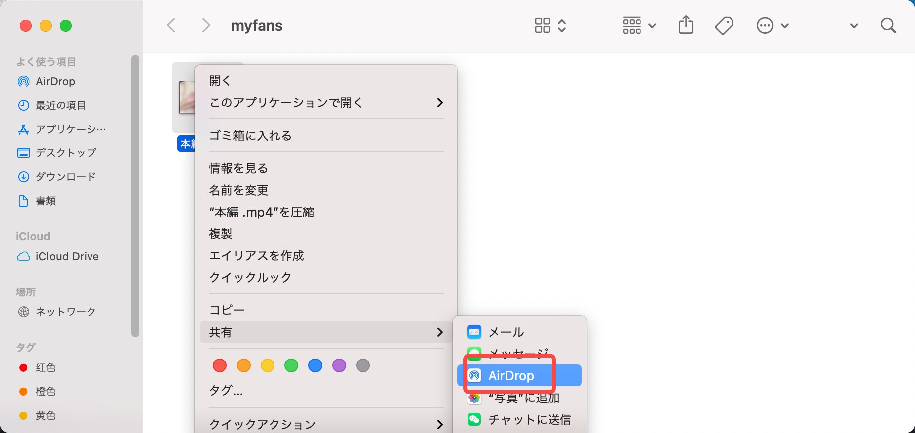 ダウンロード完了したMP4ファイル一覧画面