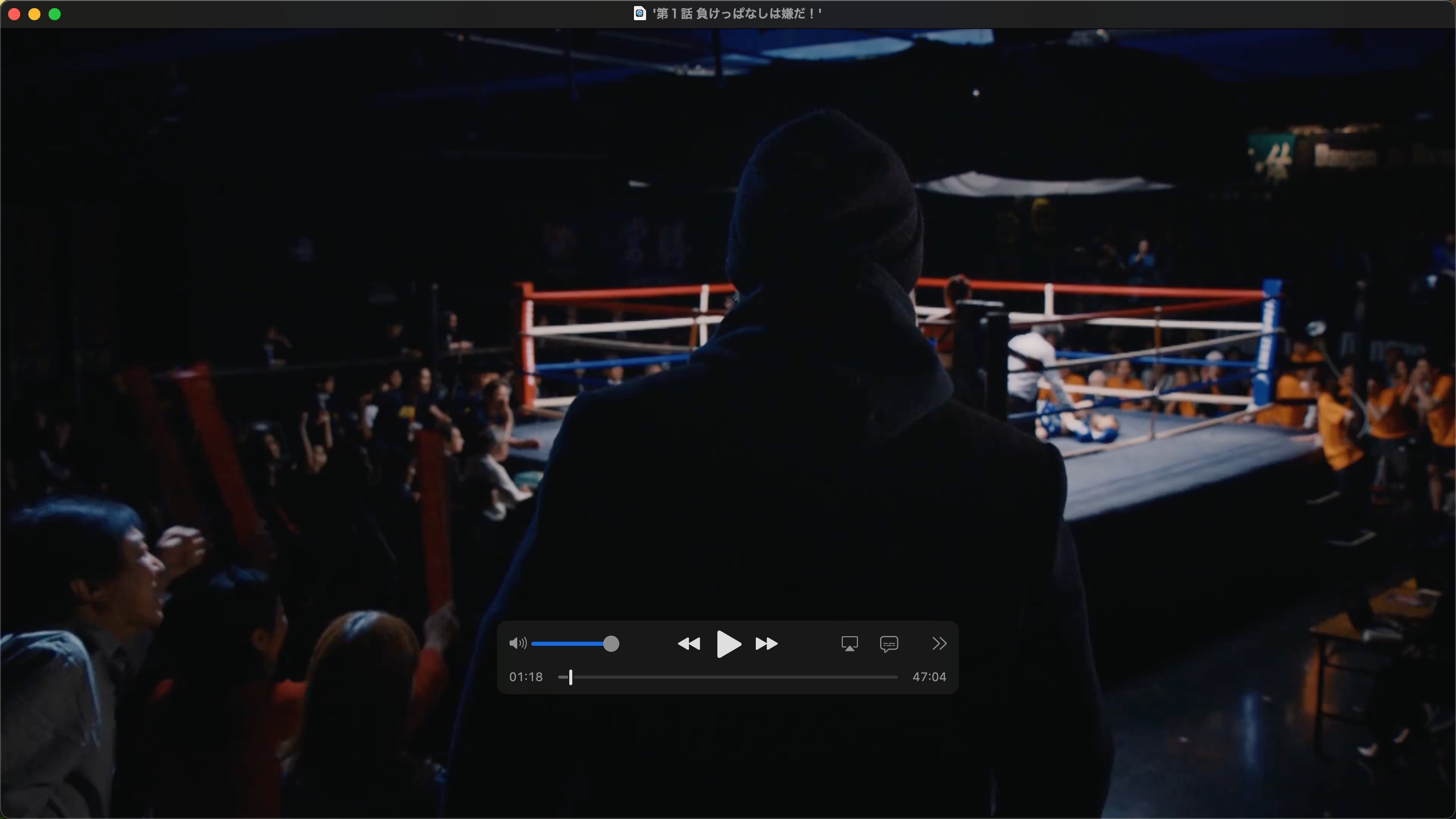 おすすめのSameMovie代替サービス:StreamFab 動画ダウンローダー