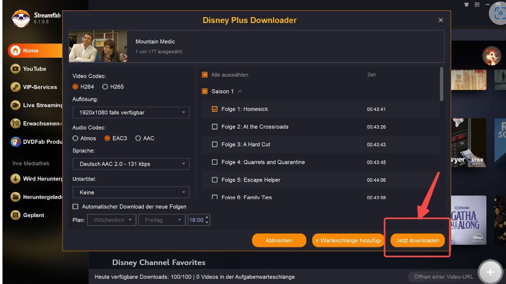 4. StreamFab Disney Plus Downloader – der beste Disney Plus Video Downloader