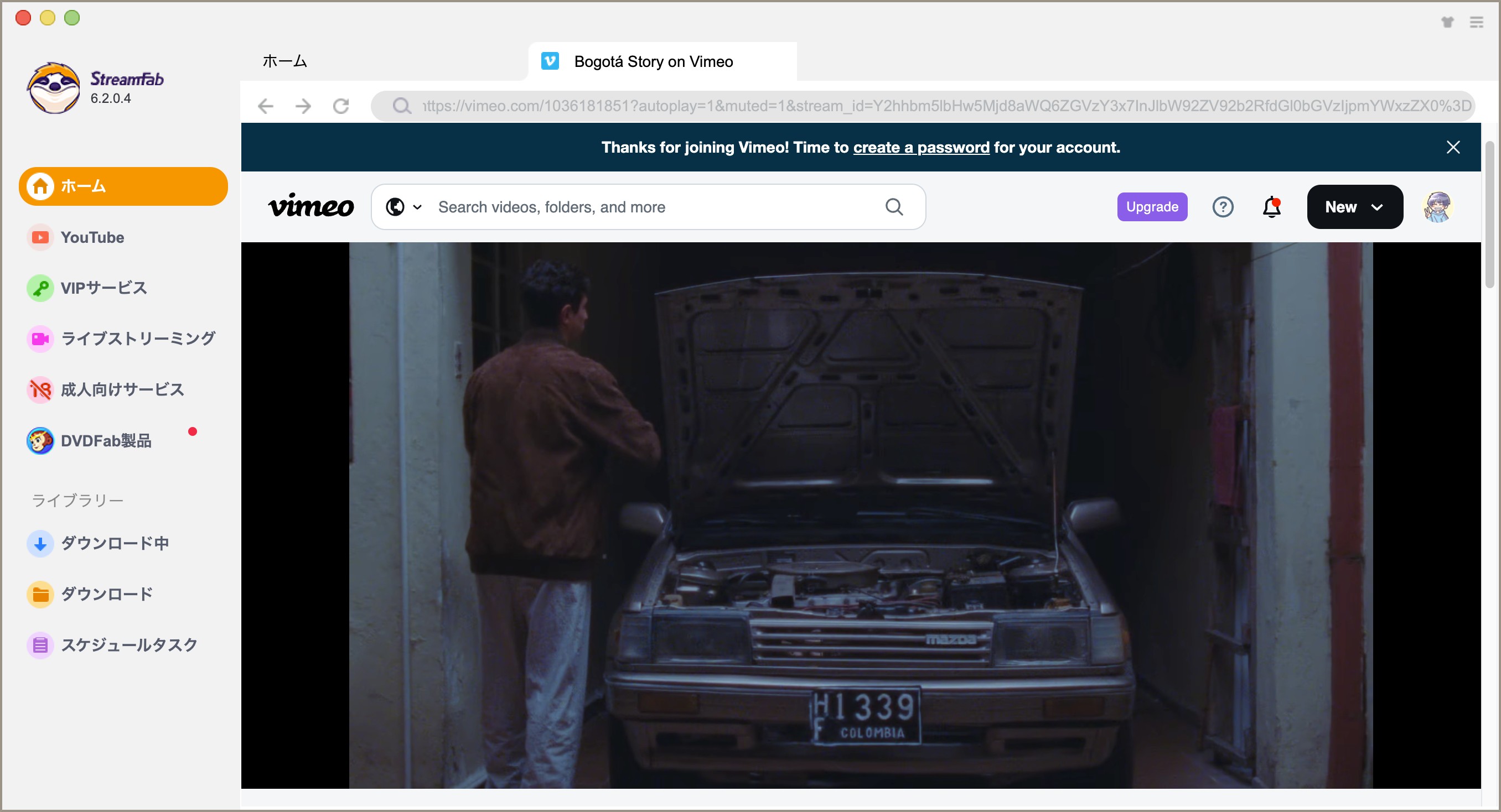 StreamFabでVimeo動画ページのコンテンツ情報を確認する画面