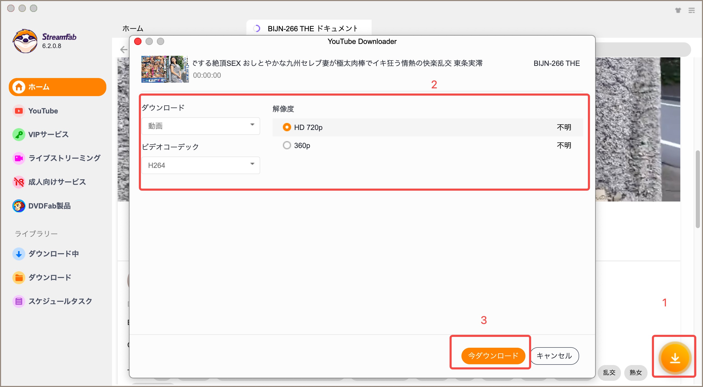 1.TKTubeダウンロードソフト:StreamFab🔥 - Step 2