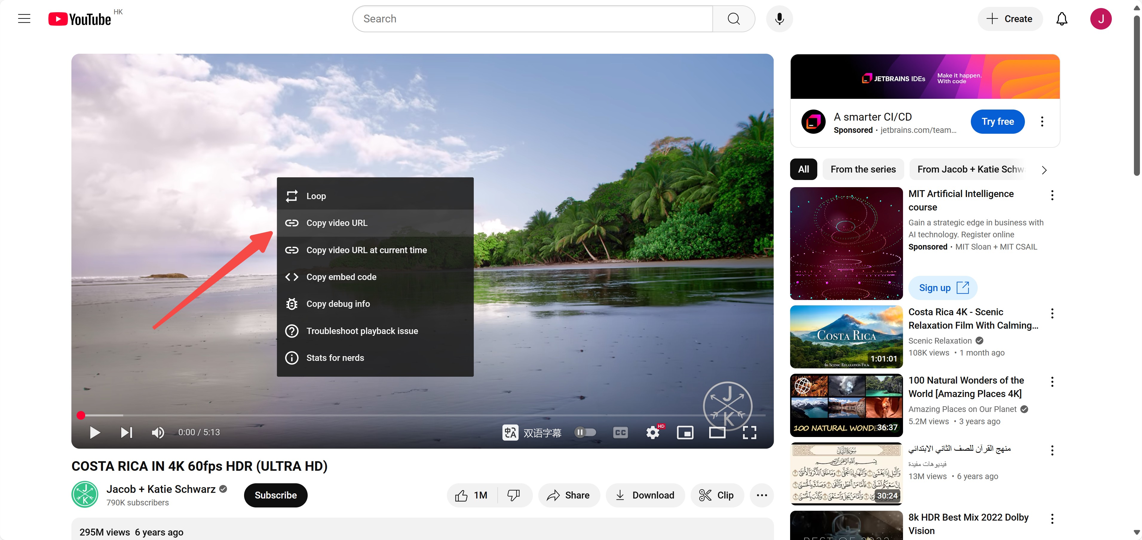 how to download YouTube videos with online YouTube downloader