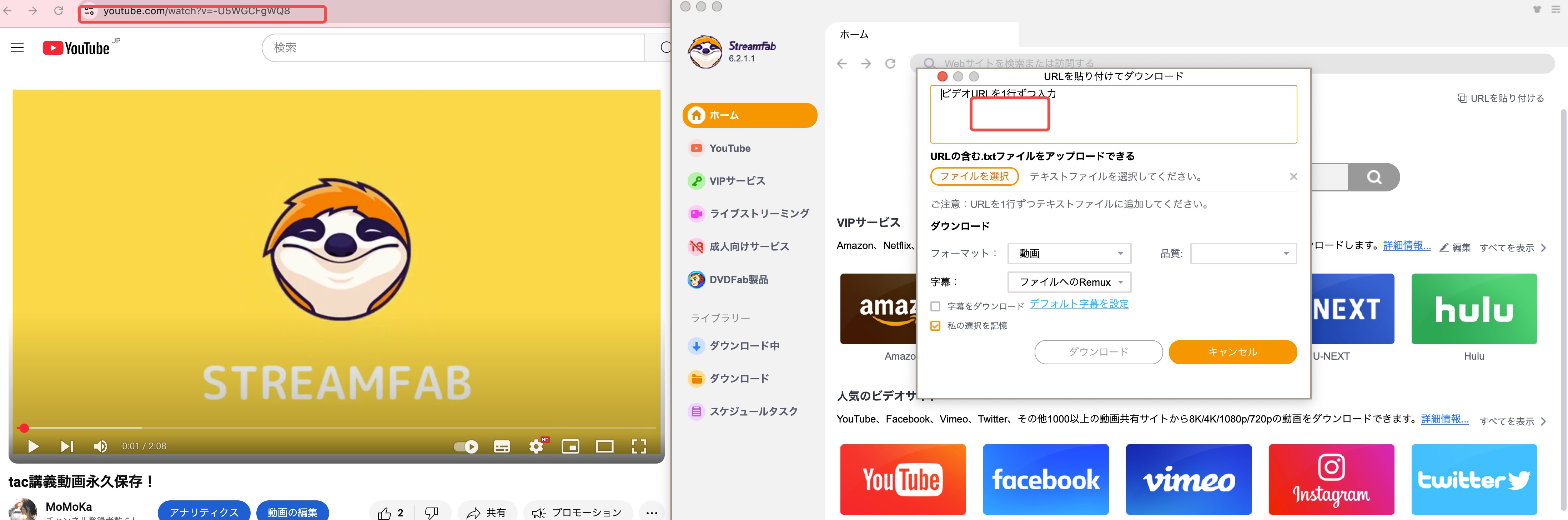 StreamFab All-In-OneへChromeの動画URLを貼り付ける画面