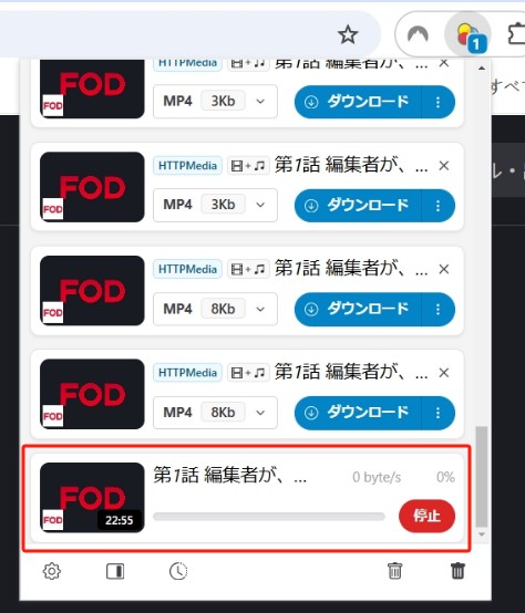 Video DownloadHelperで検出項目を確認する操作画面
