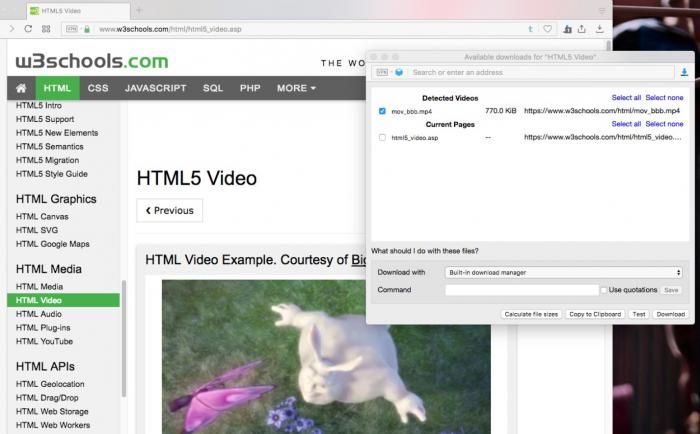 Easy Video Downloader