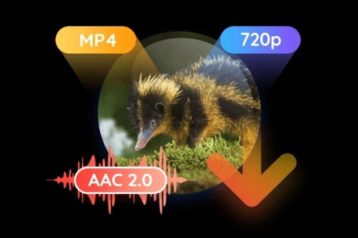 Download Apple TV Plus Videos with StreamFab Apple TV Plus Downloader