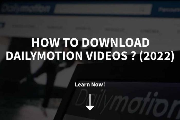 Wie lädt man ein Video von Dailymotion herunter?