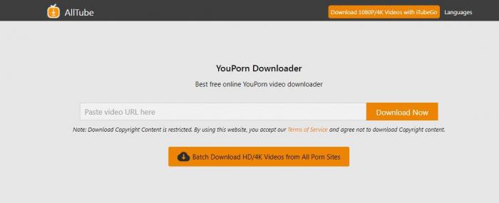 YouPorn Videos mit AllTube auf das iPhone herunterladen