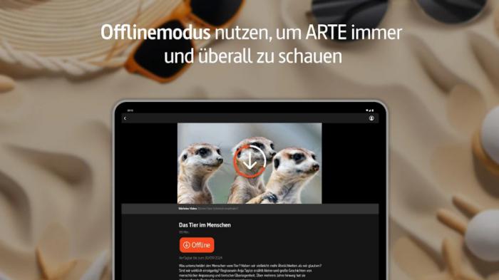 Wie kann man ARTE TV Videos mit ARTE App herunterladen?