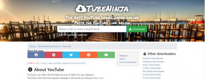 SpankBang Videos mit Hilfe eines Online-Video-Downloaders extrahieren