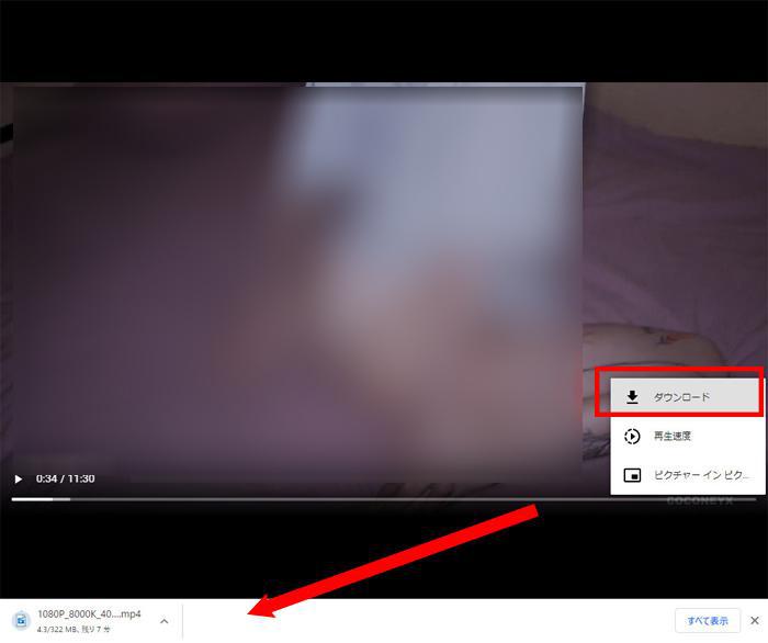 pornhub ダウンロード
