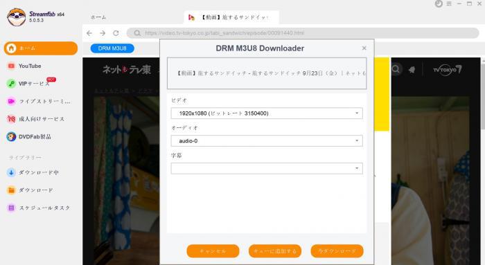 StreamFab All-In-Oneで画質・形式・字幕を選ぶ保存設定