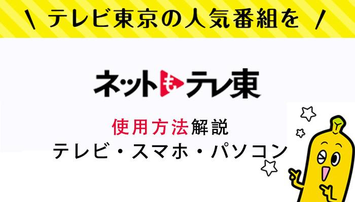 ネットもテレ東をテレビ・パソコン・スマホで視聴する対応端末