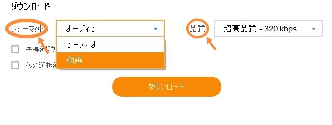 音声または動画の出力形式を選ぶ画面