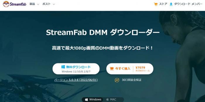 dmm dvd