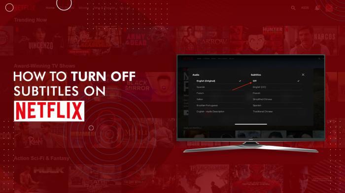 スマートテレビのNetflix再生中に字幕と音声メニューを開く画面