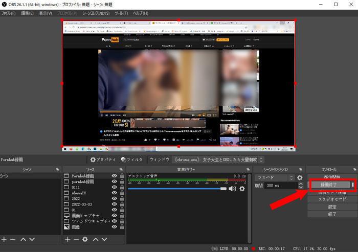 [Neueste Ausgabe 2022] Empfehlung von kostenlosen Pornhub Downloadern