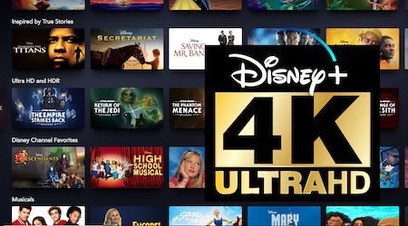 Disney+ HDR10 與 Dolby Vision 片頁詳細資料標籤範例