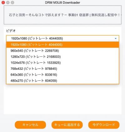 StreamFabで字幕と保存項目を確認する画面