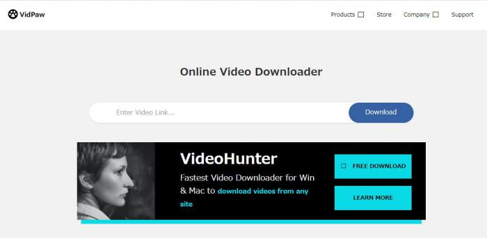 VidPawでオンライン動画の形式を確認する画面