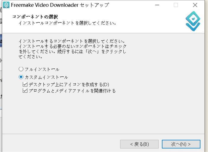 Freemake Video Downloaderのカスタムインストール選択画面
