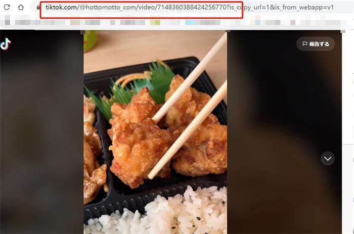 Wondershare UniConverter 17 動画ページ 保存対象URLの確認