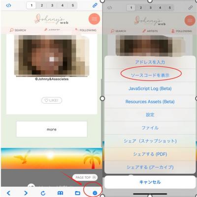 HTMLソース内の動画情報を確認する操作例