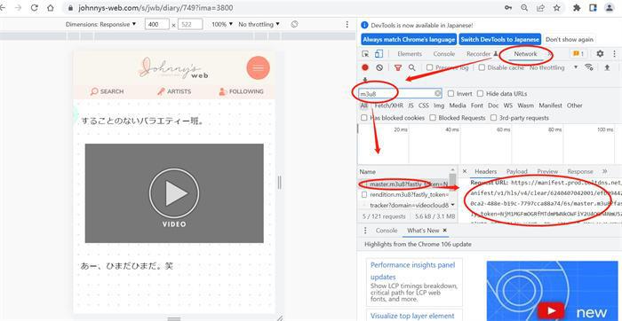 Chromeで確認した動画URL情報を整理する画面