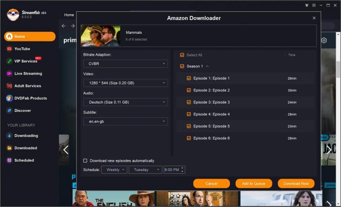 StreamFab All-In-One 電影下載確認步驟