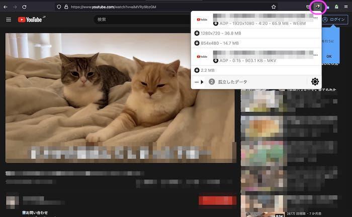 firefoxアドオン 動画ダウンロード