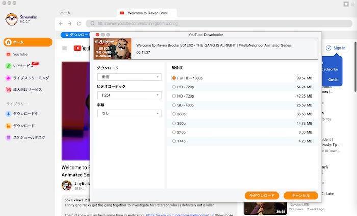 StreamFabで動画の画質と音声形式を選ぶ設定画面