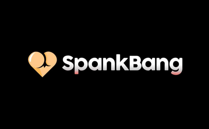 Top 5 Best SpankBang Downloaders in 2023