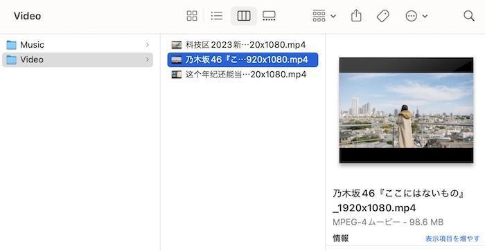 StreamFabで保存したAcFun動画のファイル一覧画面