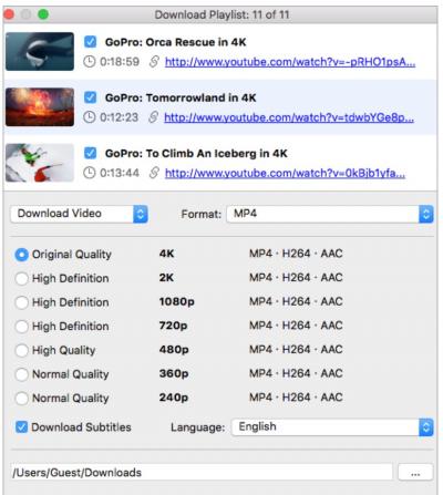 4K Video Downloader