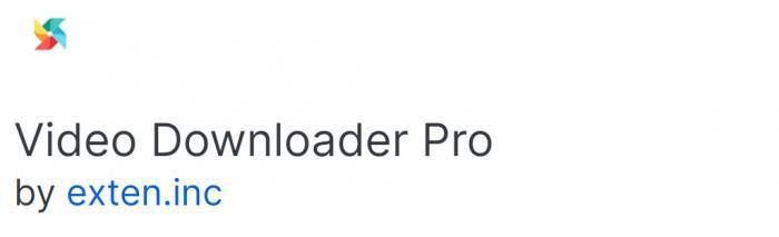 Video Downloader Pro