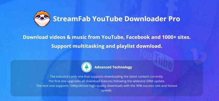 StreamFab YouTube Downloader Pro 播放清單與輸出格式設定
