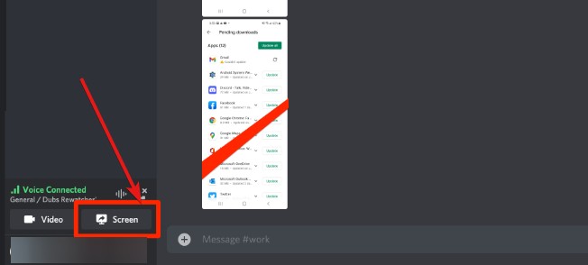 Discord 畫面分享來源選單：切換整個螢幕或單一瀏覽器視窗