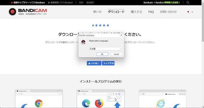 bandicam 使い方