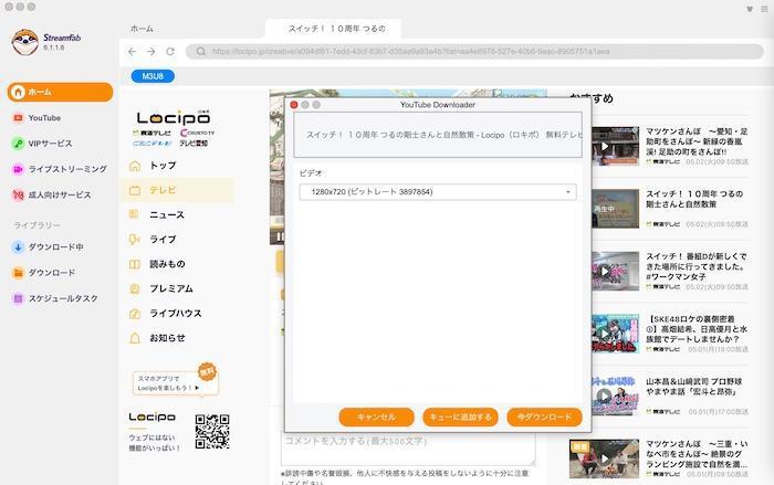 StreamFabで画質・字幕・保存形式を選択する設定パネル