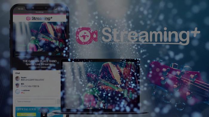 Chrome用スクリーンレコーダーでStreaming+の録画範囲を選ぶ設定画面