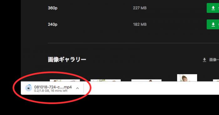 カリビアンコム ダウンロード