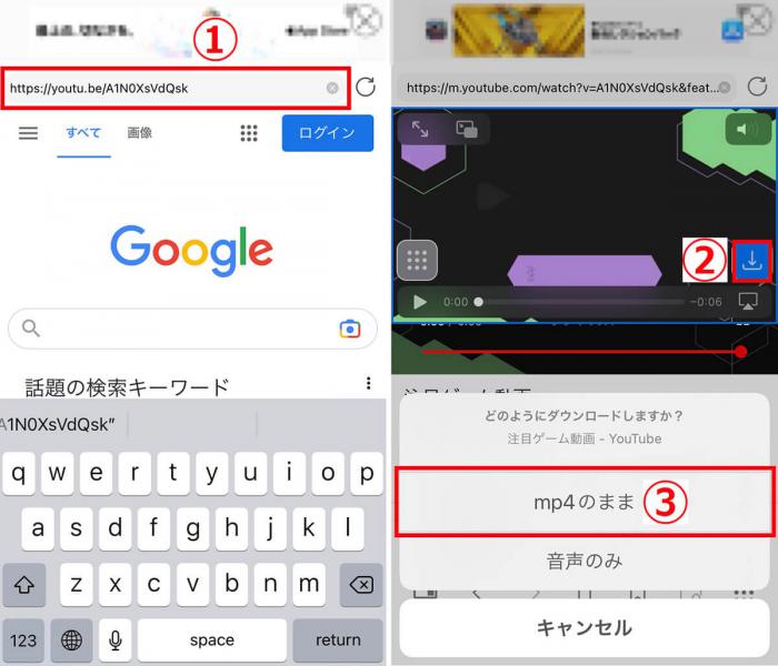 iCapでMP4保存のボタンを選ぶ操作画面
