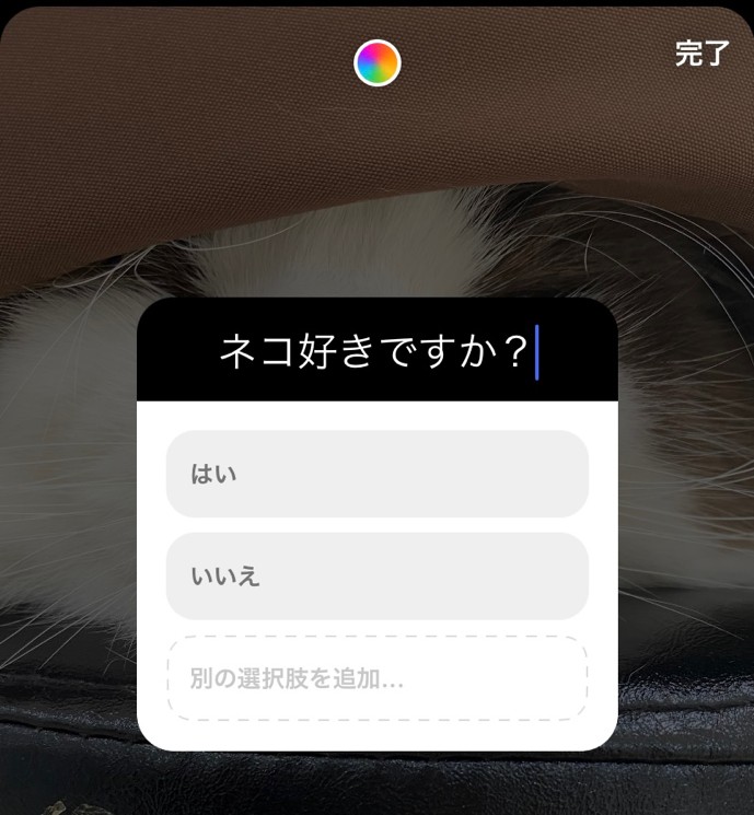 インスタ一言の質問文と投票欄の入力画面