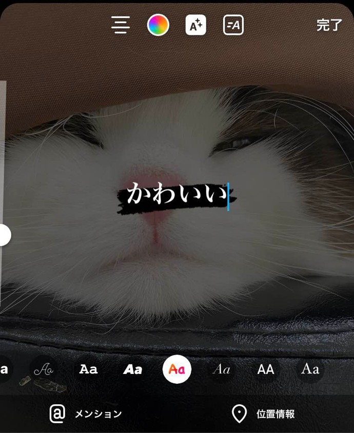 インスタ一言のフォント設定画面