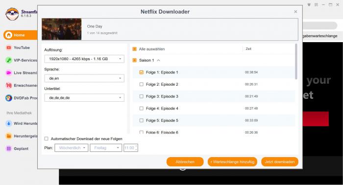 Alternative 1: StreamFab Video Downloader [Beste Wahl]