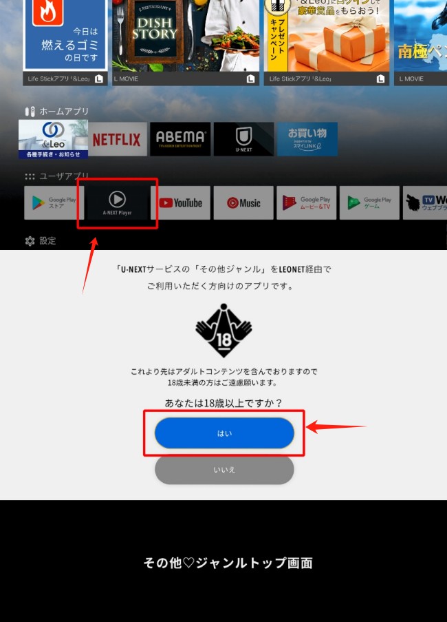 （1）テレビ（Fire TV Stick／Life Stick）の場合